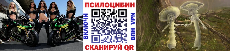 Псилоцибиновые грибы GOLDEN TEACHER  Суоярви 